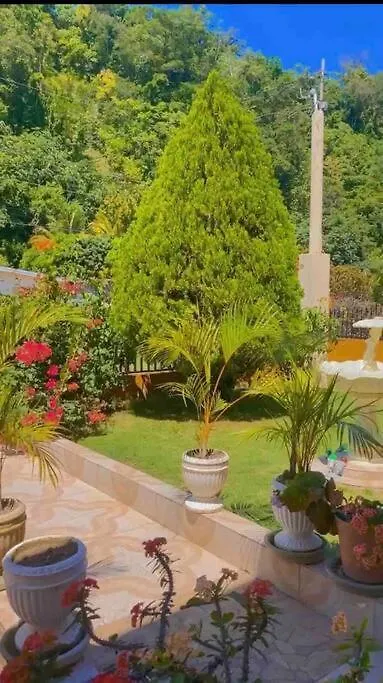 Windbreak Villa Buff Bay